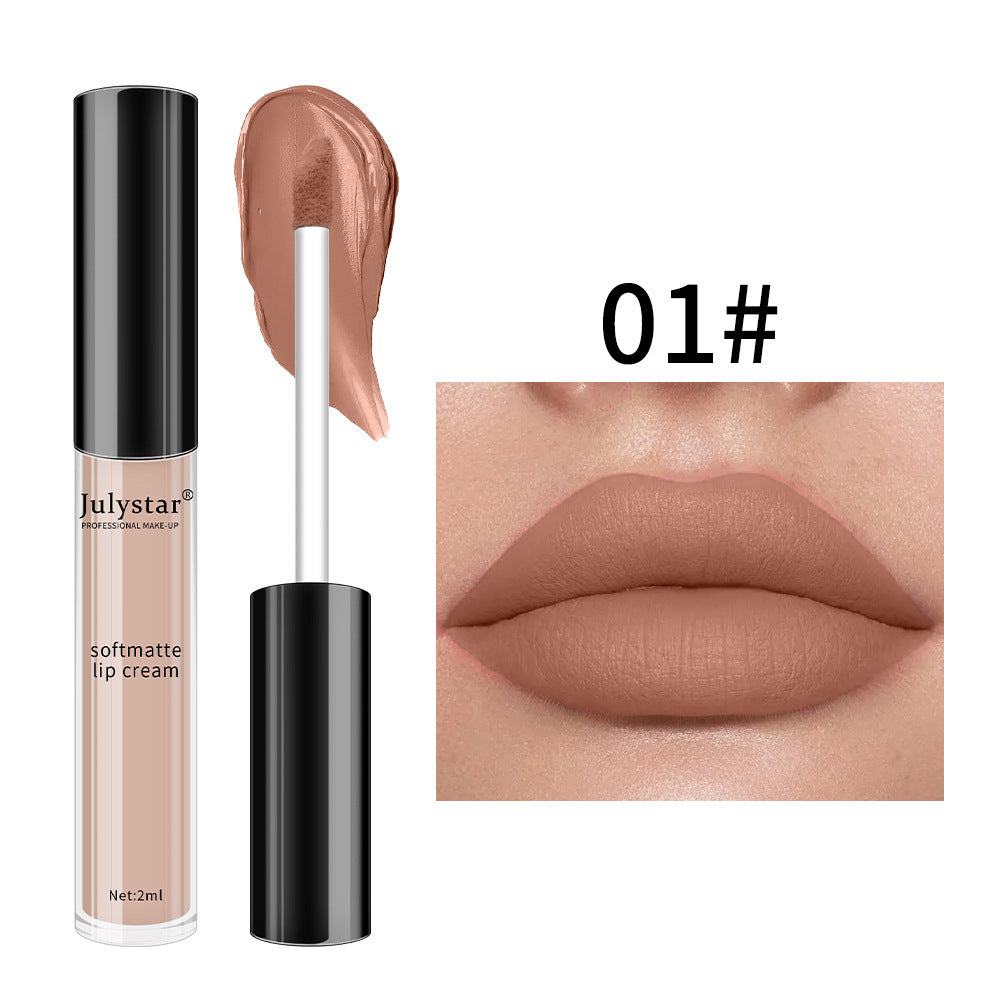 Matte Finish Lip Lacquer